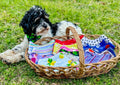 Holiday Dog Bandana Set: Custom Tie-On Cotton Bandanas