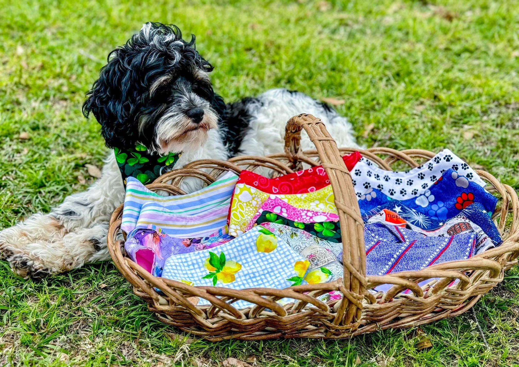 Holiday Dog Bandana Set: Custom Tie-On Cotton Bandanas