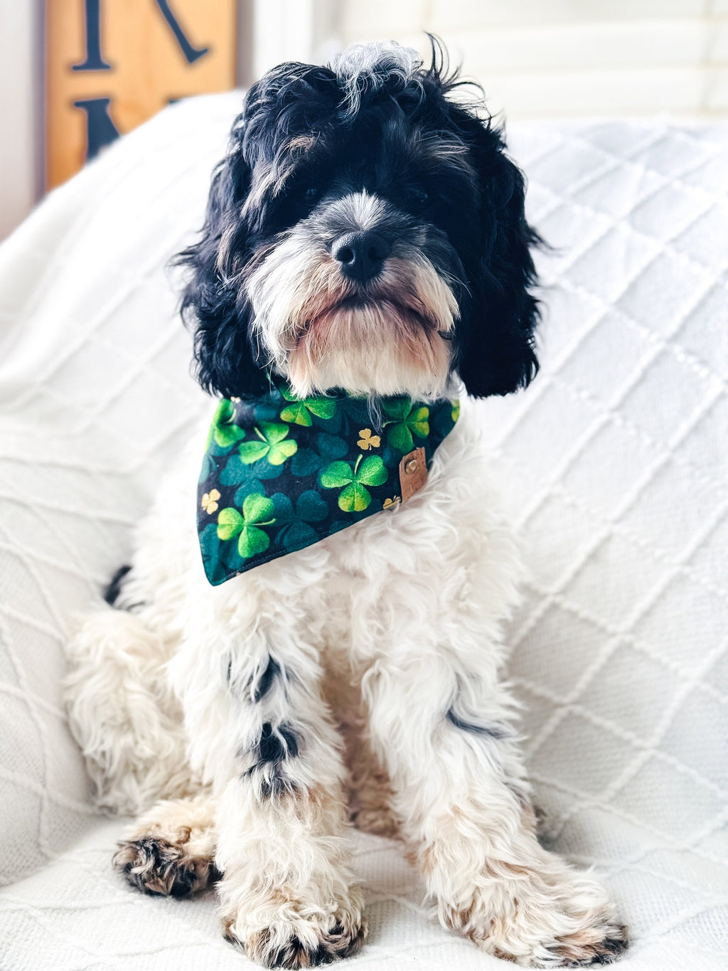 Holiday Dog Bandana Set: Custom Tie-On Cotton Bandanas