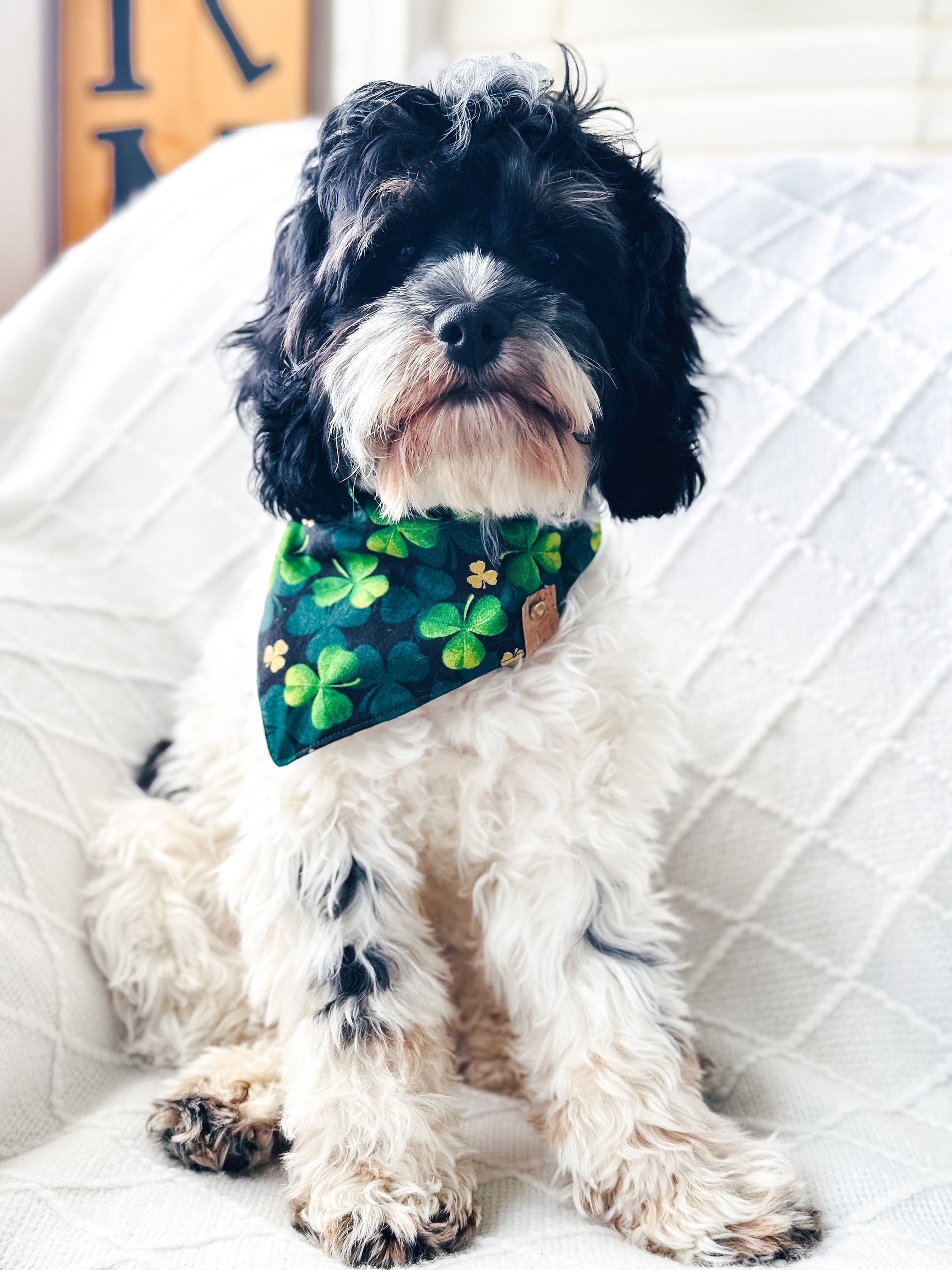 Holiday Dog Bandana Set: Custom Tie-On Cotton Bandanas