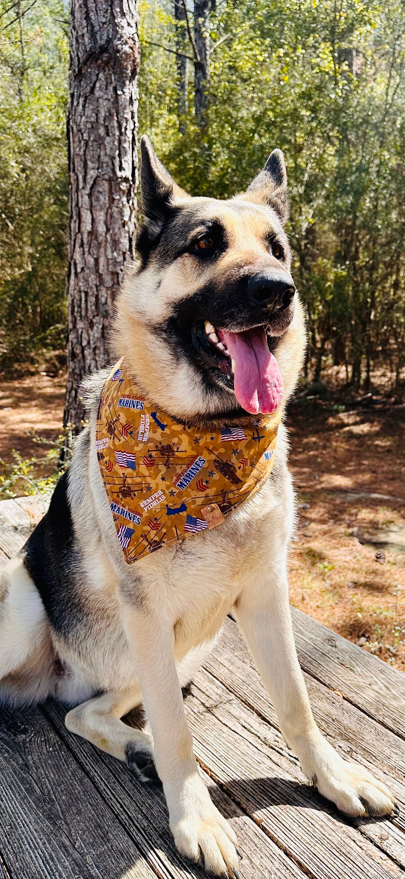 US Marine Corps Dog Bandana: Semper Fi Tie-On Cotton Scarf