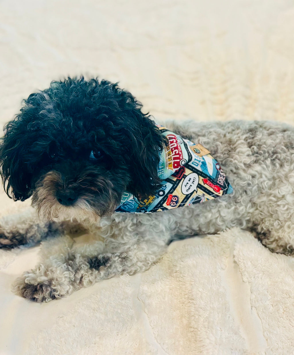 RV Life Dog Bandana: Route 66 Camping Adventure Pet Scarf