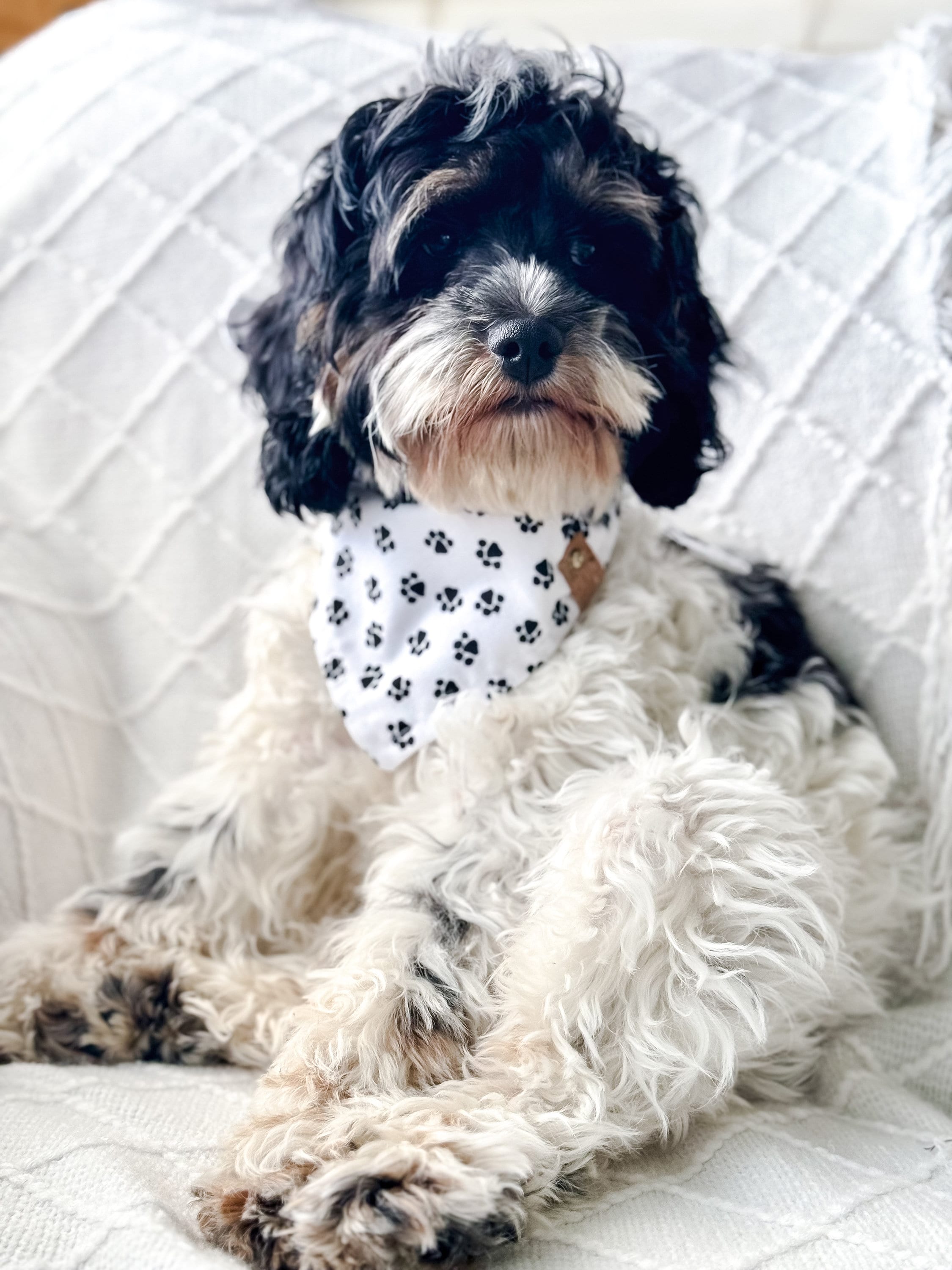 Handmade Black & White Paw Print Dog Bandana: Classic Tie-On Scarf