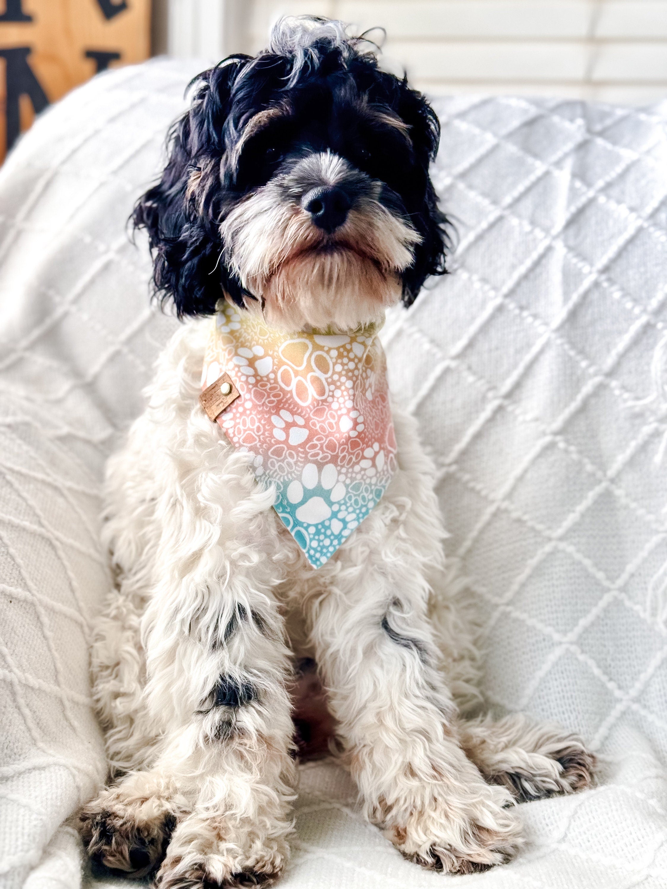 Tie Dye Paw Print Dog Bandana – Colorful Pet Scarf – Custom Tie-On Dog Accessory