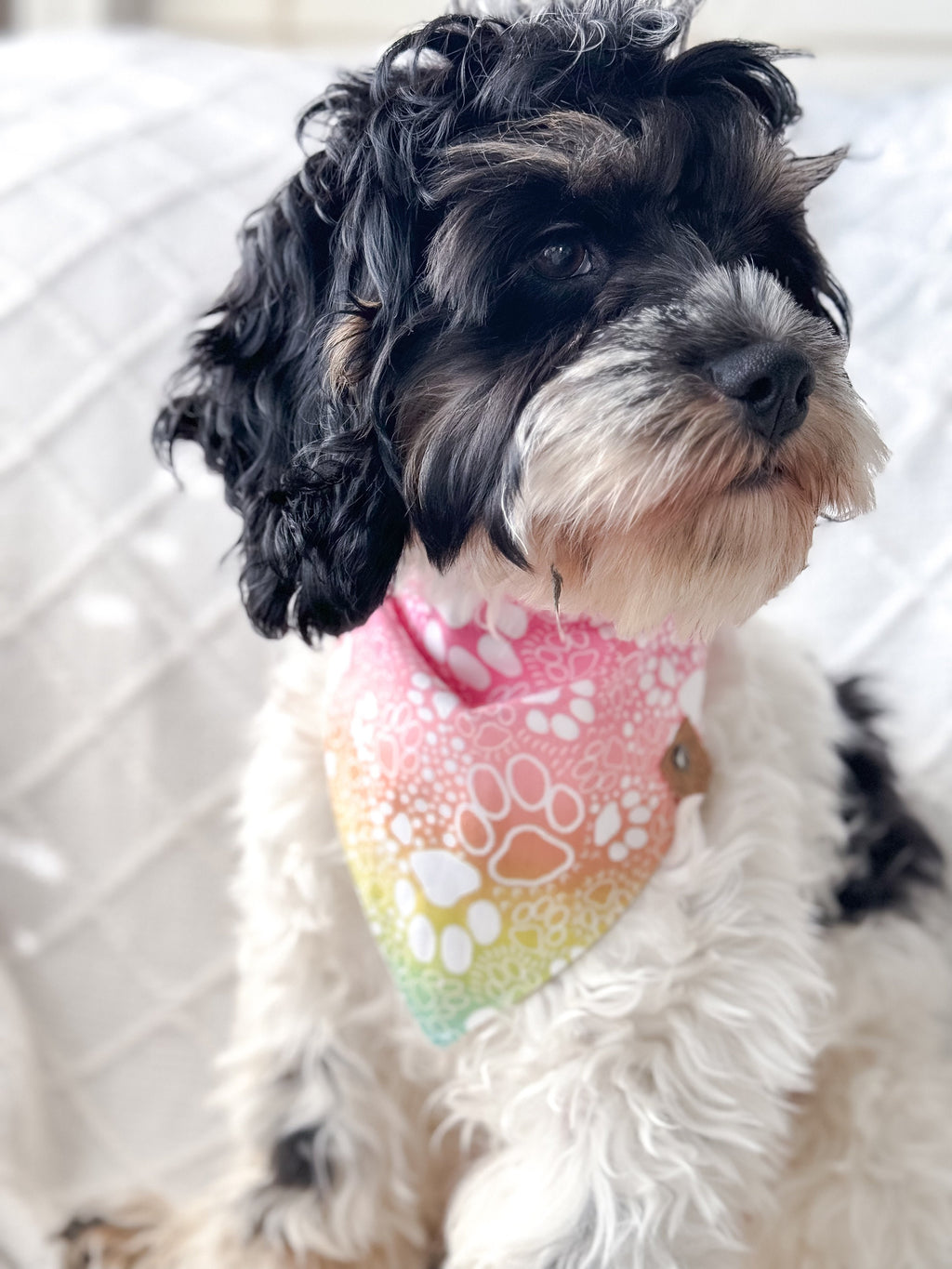 Tie Dye Paw Print Dog Bandana – Colorful Pet Scarf – Custom Tie-On Dog Accessory