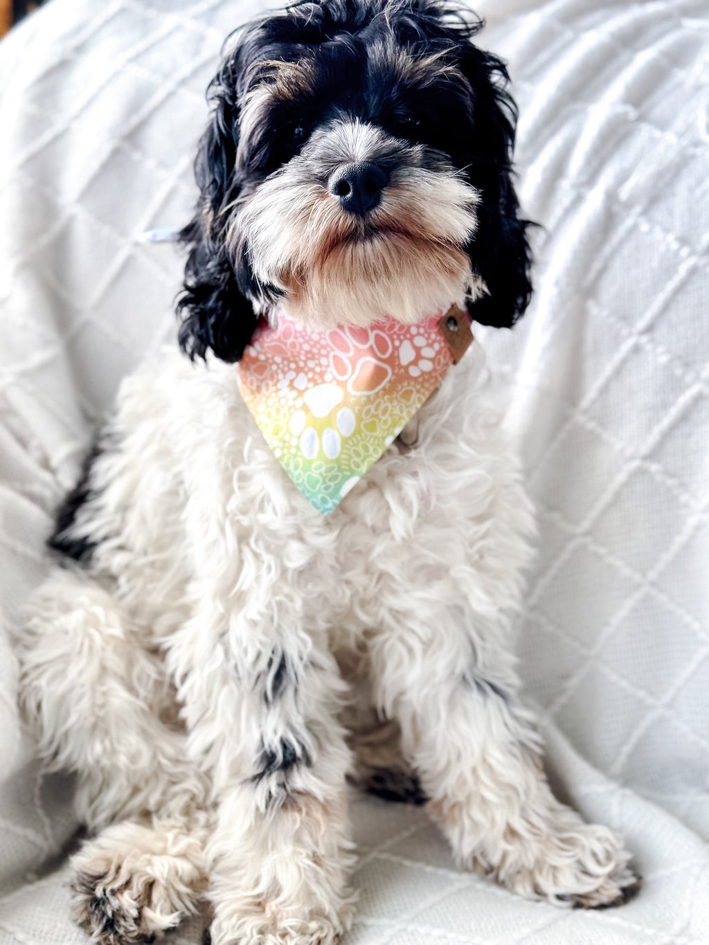 Tie Dye Paw Print Dog Bandana – Colorful Pet Scarf – Custom Tie-On Dog Accessory