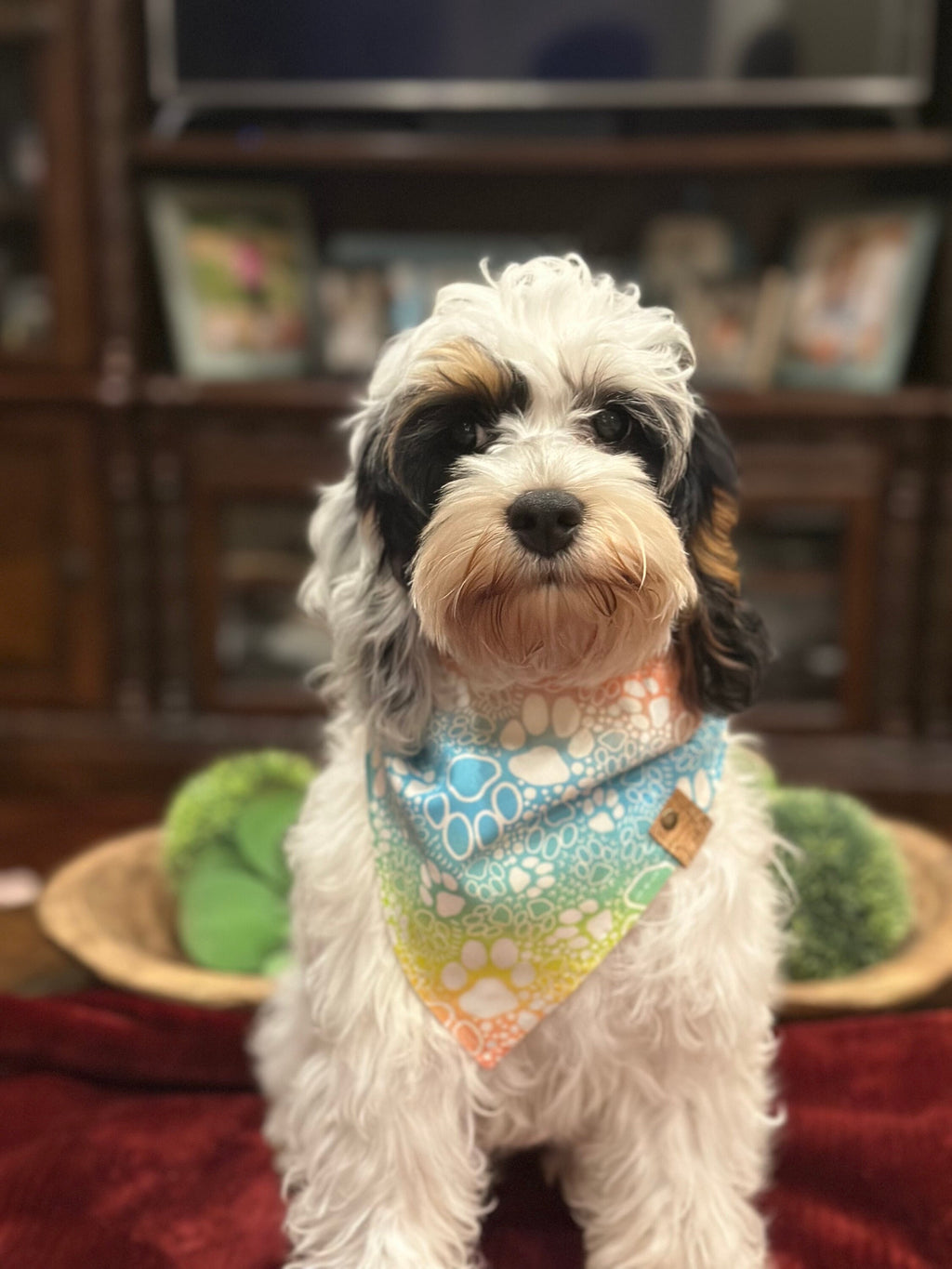 Tie Dye Paw Print Dog Bandana – Colorful Pet Scarf – Custom Tie-On Dog Accessory
