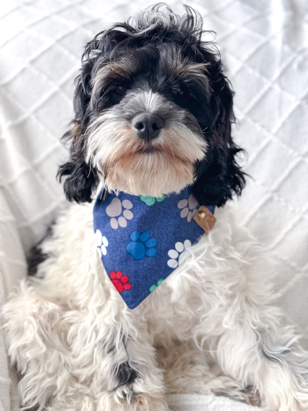 Colorful Paw Print Dog Bandana: Handmade Cotton Tie-On Scarf