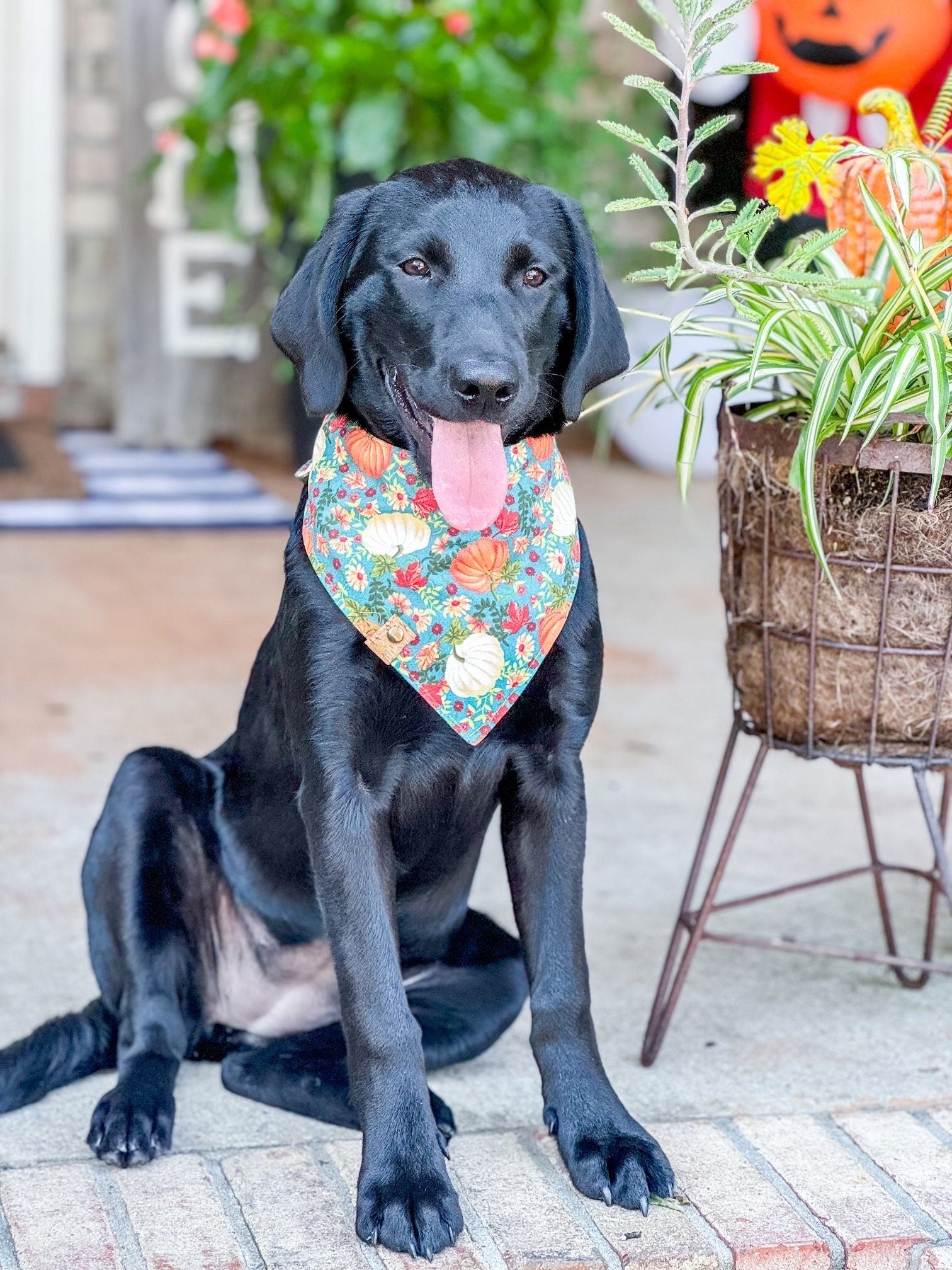 Pumpkin Dog Bandana: Fall Print Tie-On Cotton Scarf