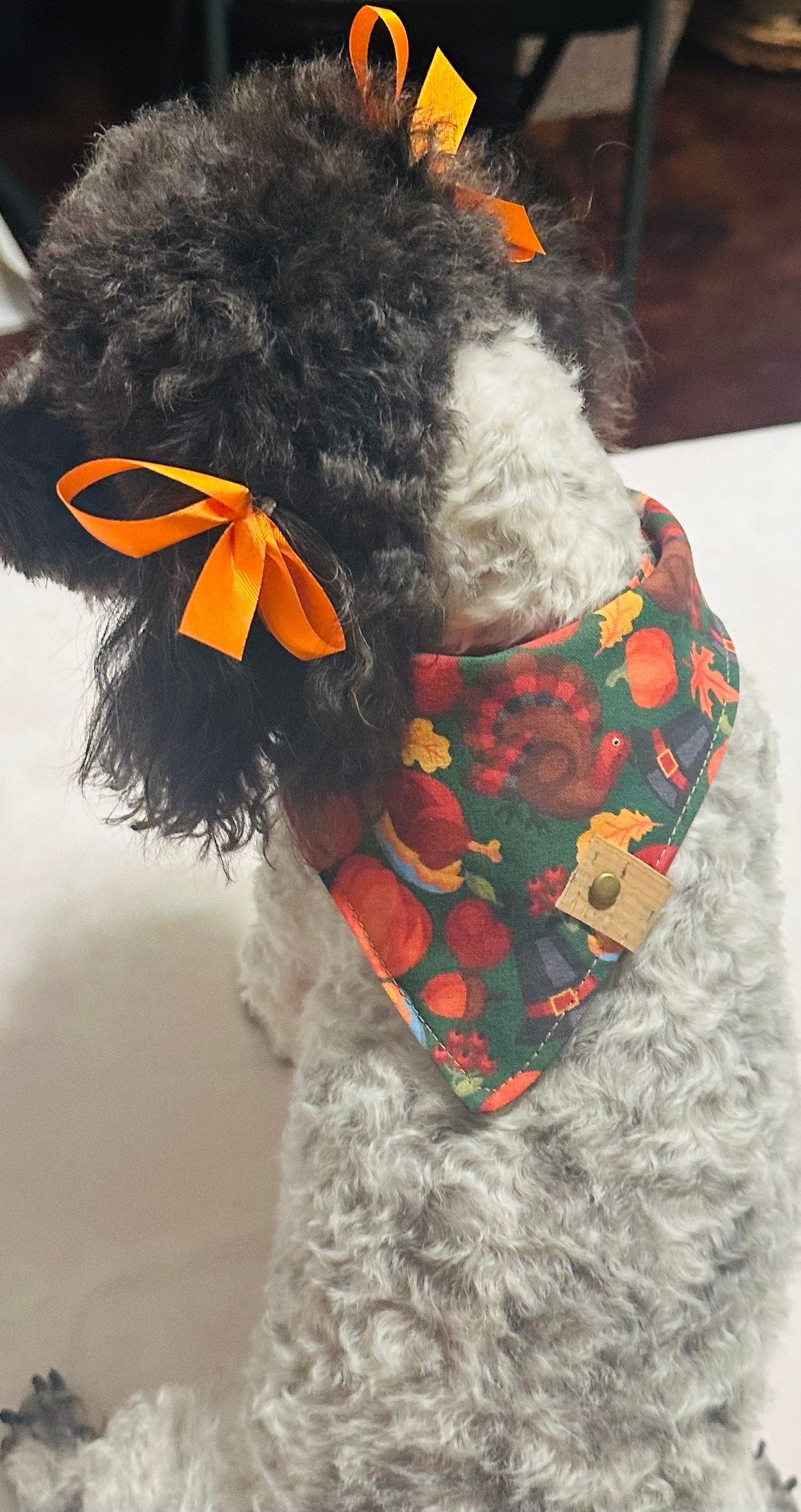 Dog Bandana | Thanksgiving | Custom | Tie On | Turkey | Pumpkin Pie