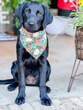 Pumpkin Dog Bandana: Fall Print Tie-On Cotton Scarf