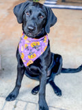 Spooky Purple Dog Bandana – Halloween Tie-On Dog Scarf – Fall Pet Accessory