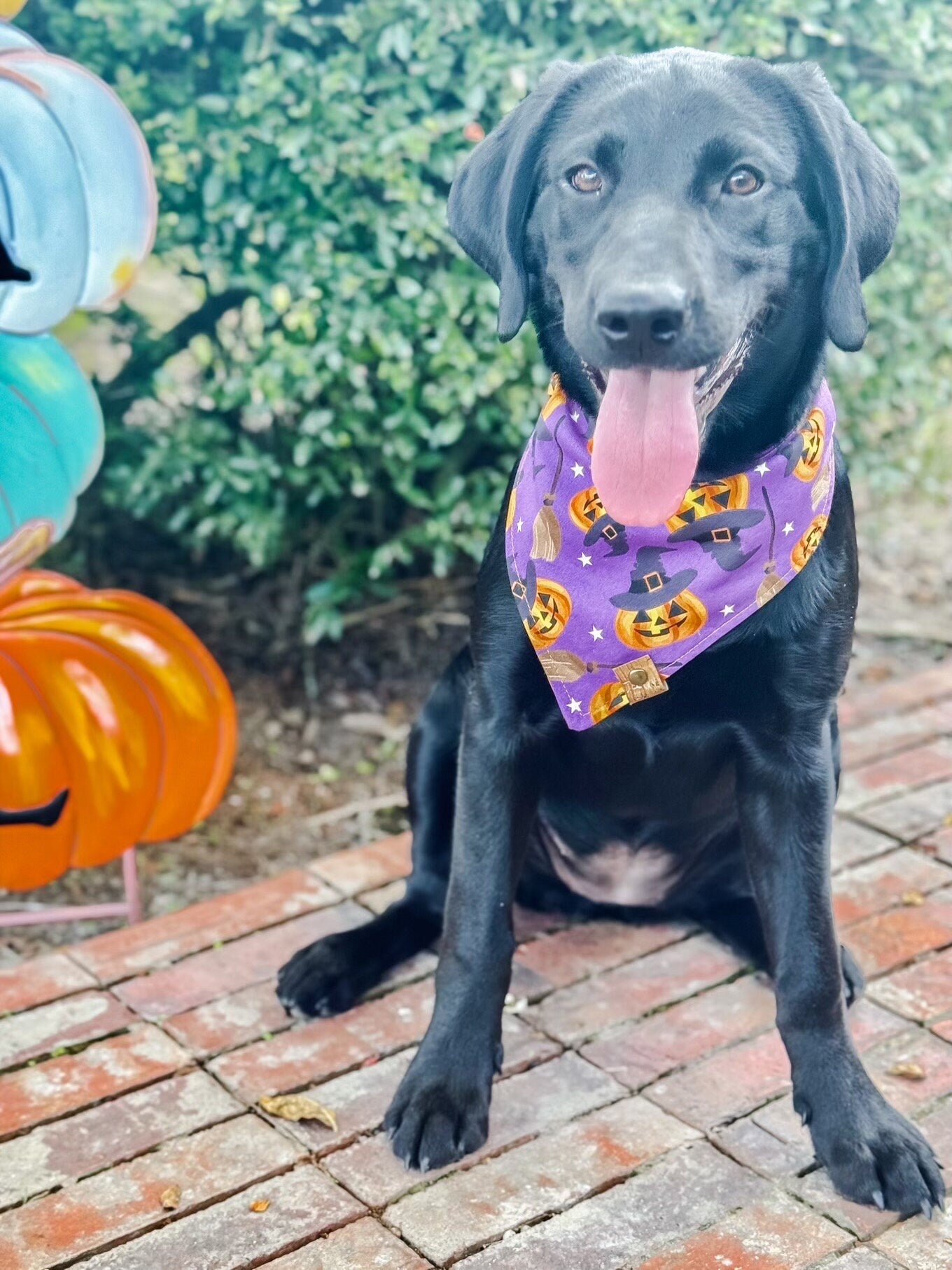 Spooky Purple Dog Bandana – Halloween Tie-On Dog Scarf – Fall Pet Accessory
