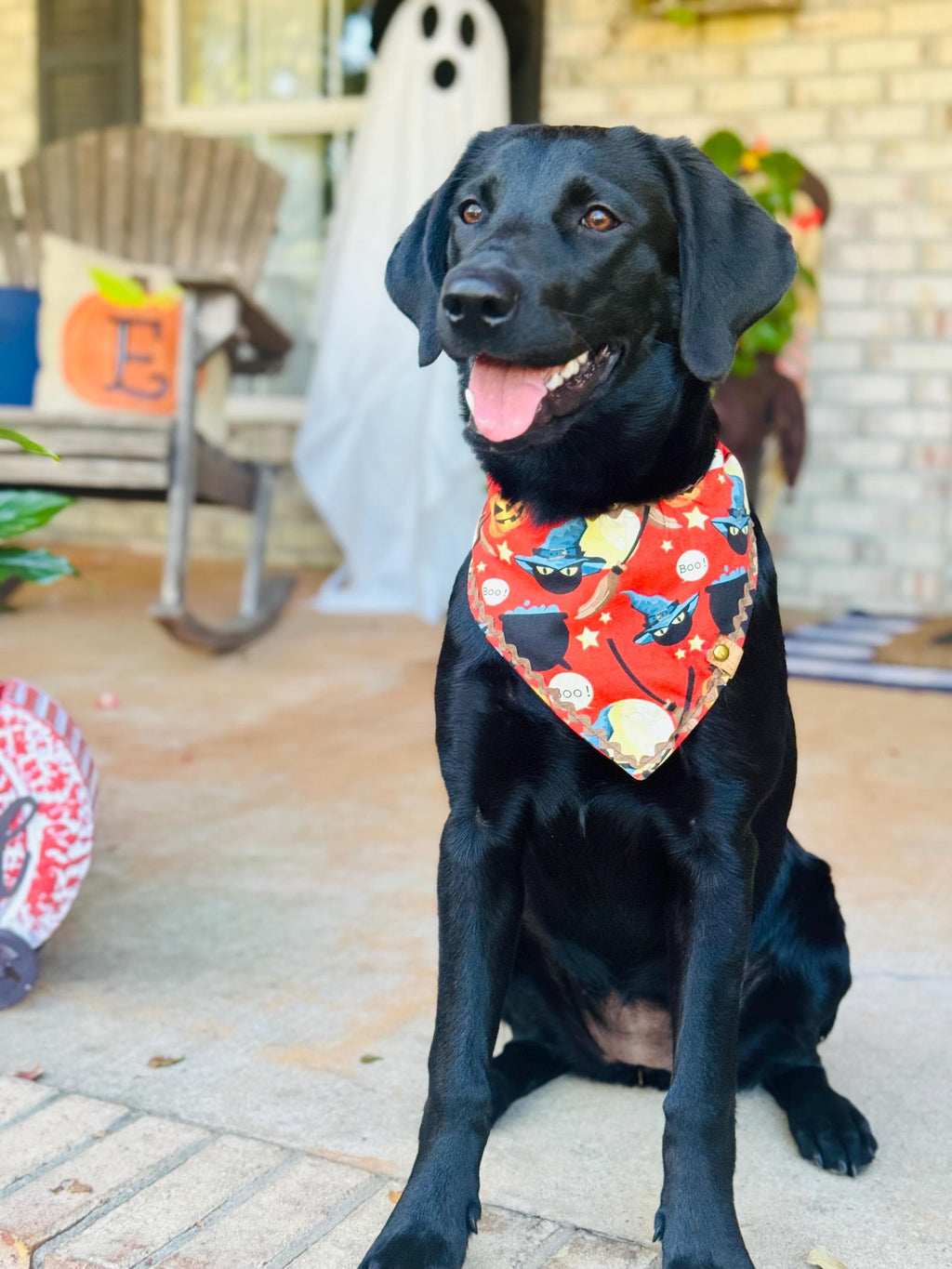 Halloween Dog Bandana – Jack-o'-Lantern Pumpkin Print – Tie-On Pet Scarf XS to XL