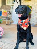 Halloween Dog Bandana – Jack-o'-Lantern Pumpkin Print – Tie-On Pet Scarf XS to XL