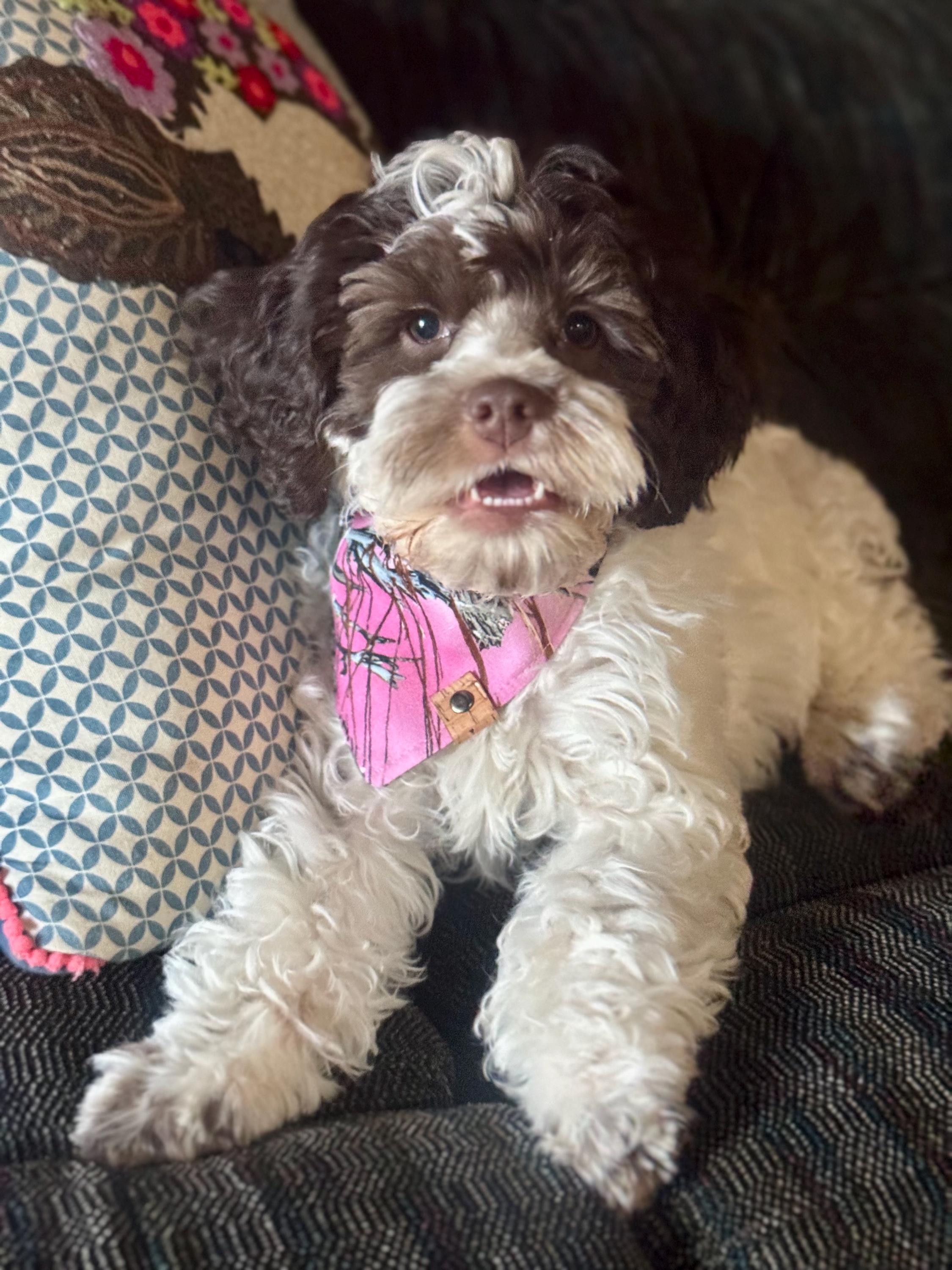 Pink Camo Dog Bandana: Handmade Tie-On Pet Scarf