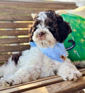 Winter Dog Bandana – Blue Snowflake Print Tie-On Scarf – Handmade Cold Weather Pet Accessory