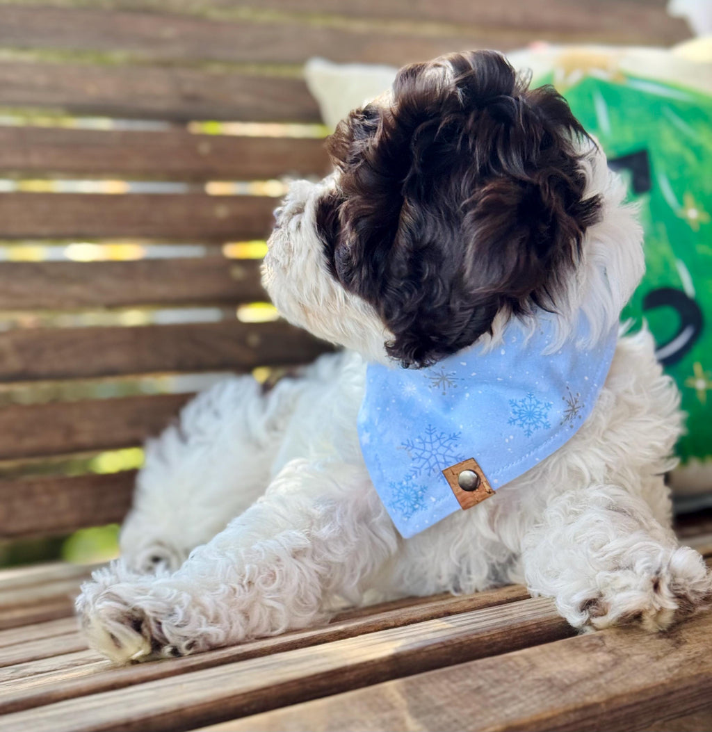 Winter Dog Bandana – Blue Snowflake Print Tie-On Scarf – Handmade Cold Weather Pet Accessory