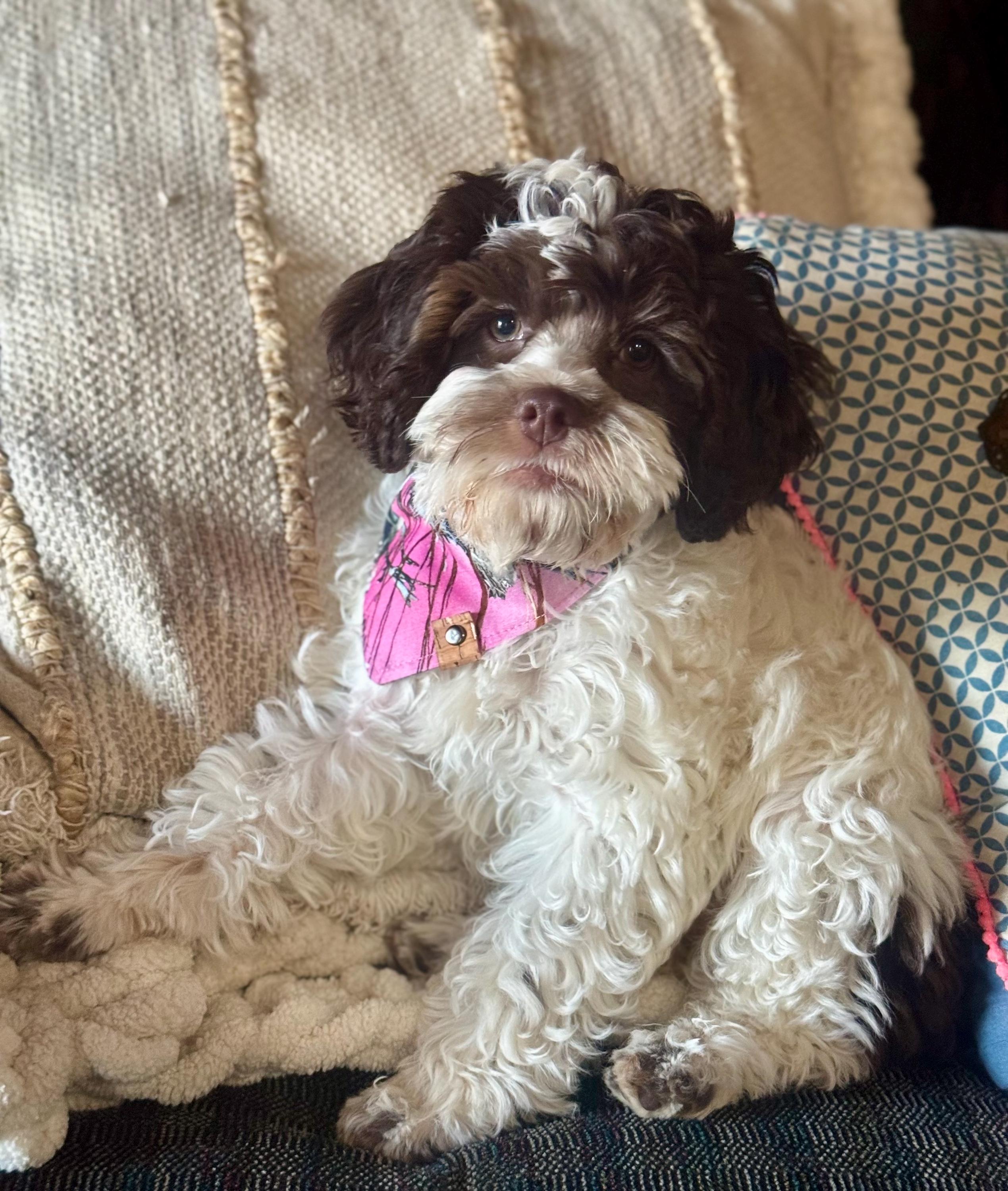 Pink Camo Dog Bandana: Handmade Tie-On Pet Scarf