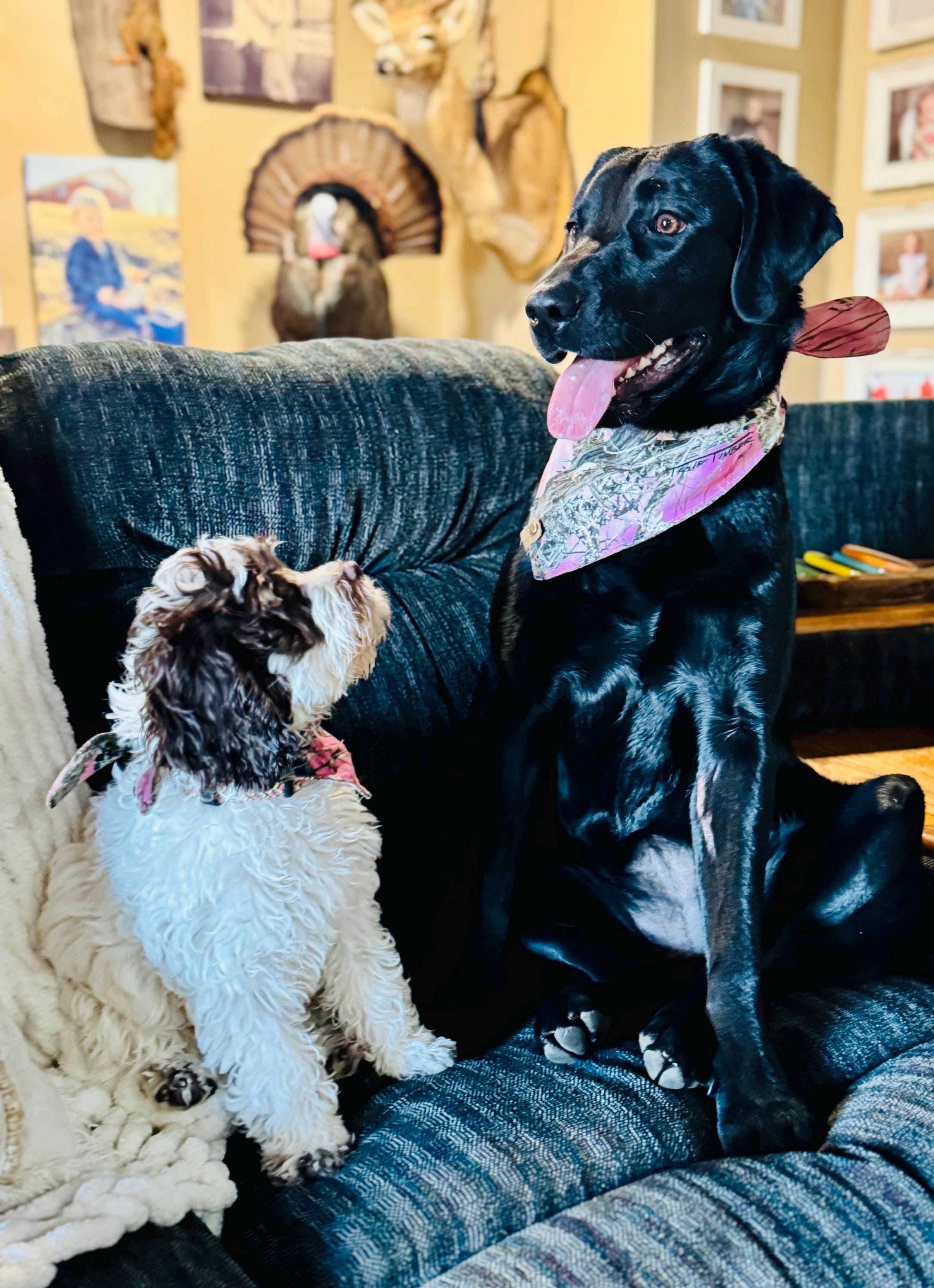 Pink Camo Dog Bandana: Handmade Tie-On Pet Scarf