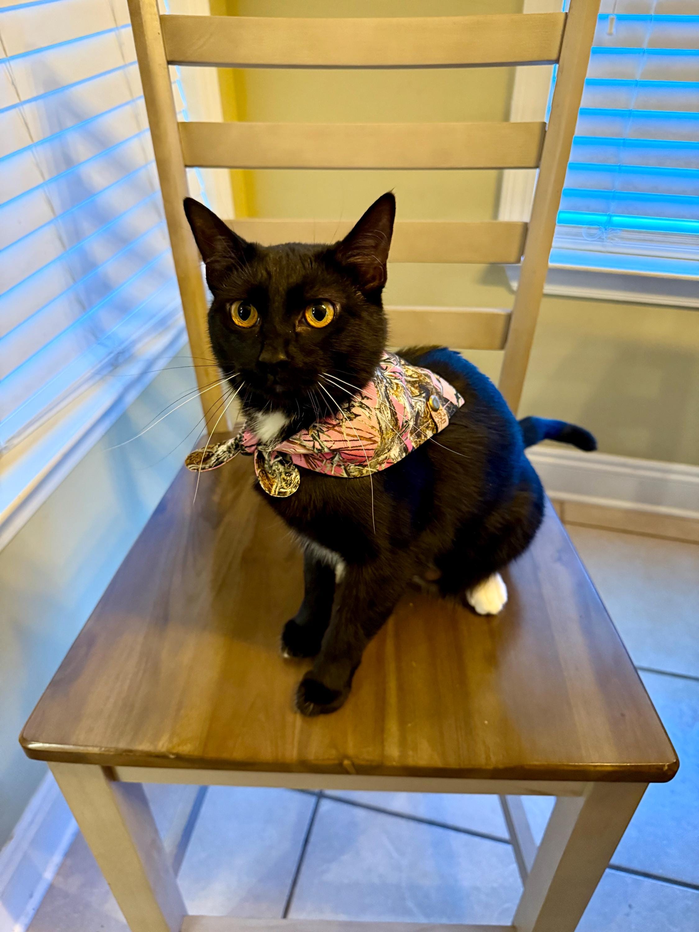 Pink Camo Dog Bandana: Handmade Tie-On Pet Scarf