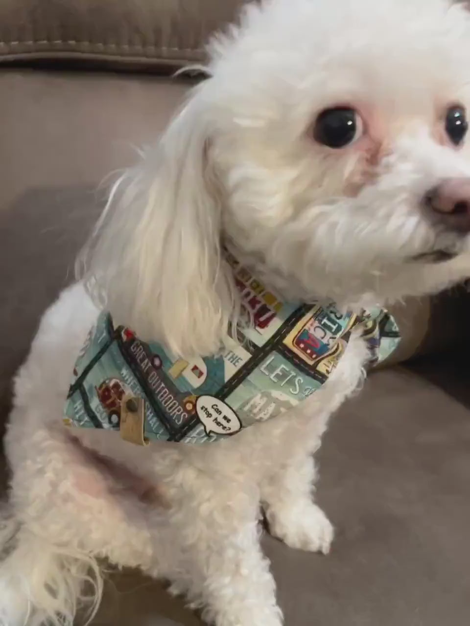Barnyard Chickens Dog Bandana – Farm Animal Tie-On Scarf – Handmade Country Pet Accessory