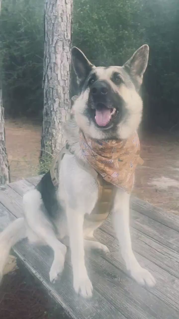 Autumn Leaves and Pumpkins Dog Bandana – Handmade Tie-On Fall Pet Scarf – Cozy Seasonal Accessory