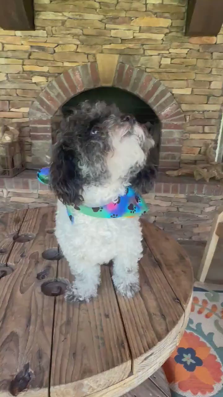 Tie-Dye Dog Bandana: Handmade Colorful Cotton Pet Scarf